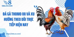 Đá Gà Thomo O8 Và Xu Hướng Theo Dõi Trực Tiếp Hiện Nay